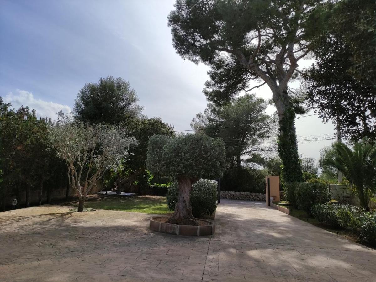Villa Mestral Alcudia  Zewnętrze zdjęcie