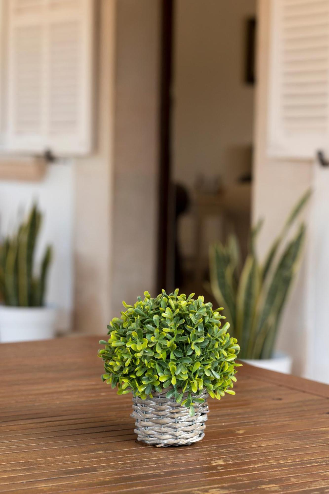 Villa Mestral Alcudia  Zewnętrze zdjęcie
